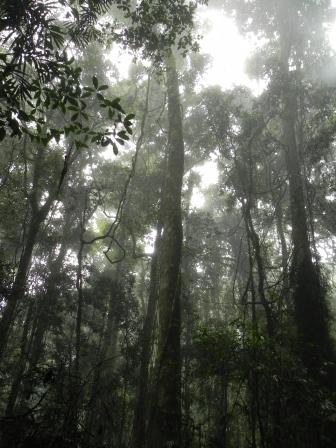 Xyomara Carretero-Pinzon